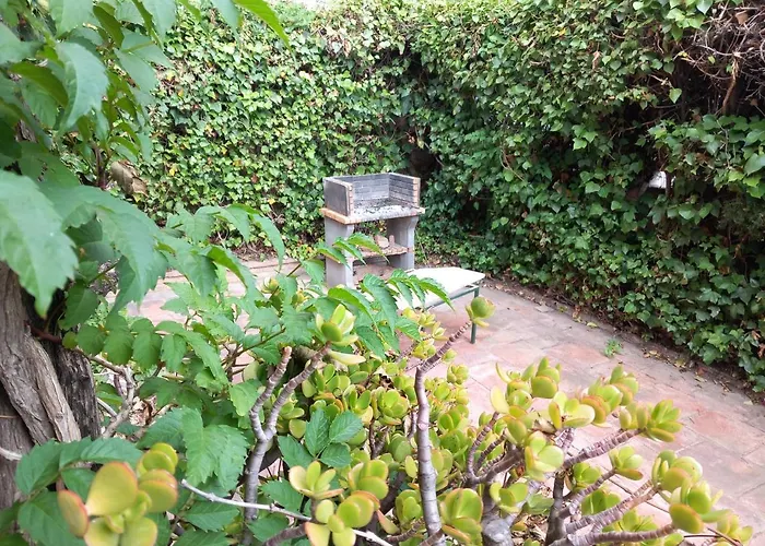 Bon Repos